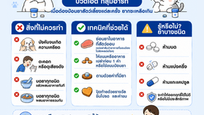 💊🐶🐱 สัตว์เลี้ยงไม่ยอมกินยา? เทคนิคป้อนยาสุนัขและแมวอย่างถูกวิธี ลดความเครียดทั้งเจ้าของและน้อง ๆ