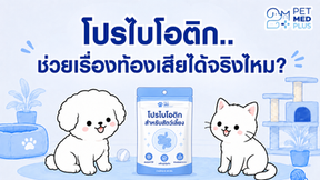🐶🐱 โปรไบโอติกช่วยเรื่องท้องเสียได้จริงไหม? สิ่งที่เจ้าของสัตว์เลี้ยงควรรู้ก่อนเลือกใช้