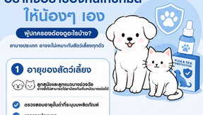 🐾 เลือกยาป้องกันเห็บหมัดจากคำแนะนำของเพื่อนดีไหม? สิ่งที่เจ้าของสัตว์เลี้ยงควรรู้ก่อนเลือกใช้