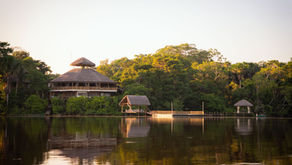 Cuidamos el corazón del planeta: La Selva Eco-Lodge en la Amazonía logra la Carbono Neutralidad