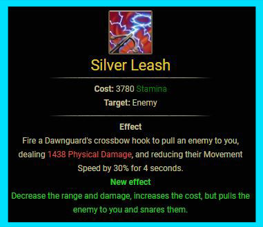 silver leash.JPG