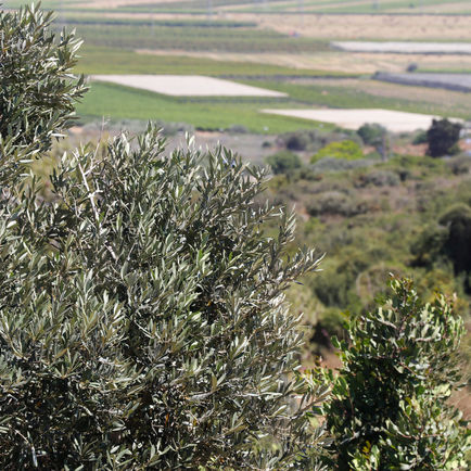 IMG_4691 לוגו_1600x1066.jpg