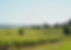 DSC00018-01.jpeg