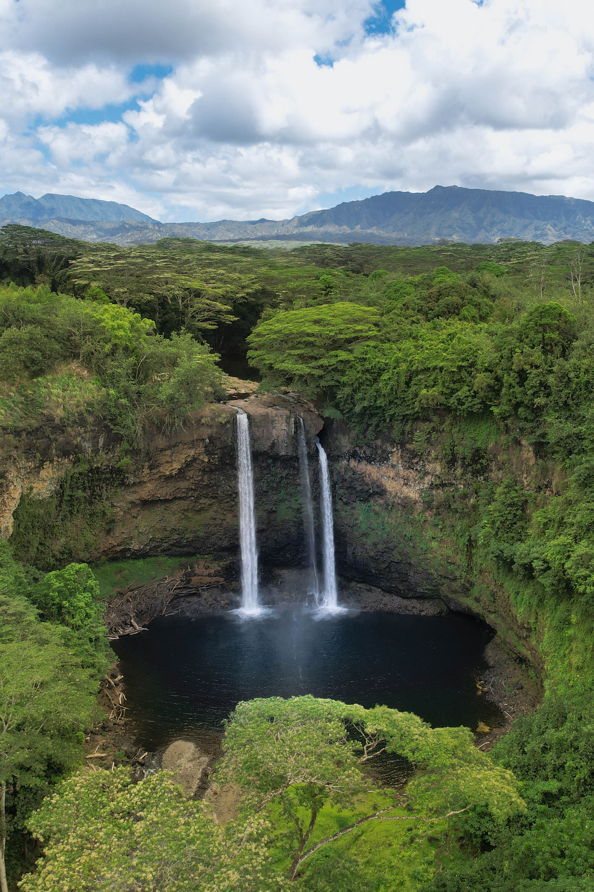 Wailua Falls Portrait