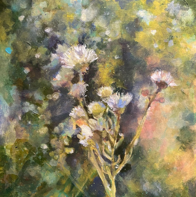 Things considered weeds are beautiful if you look at them closely. Nature offers all kinds of surprises.