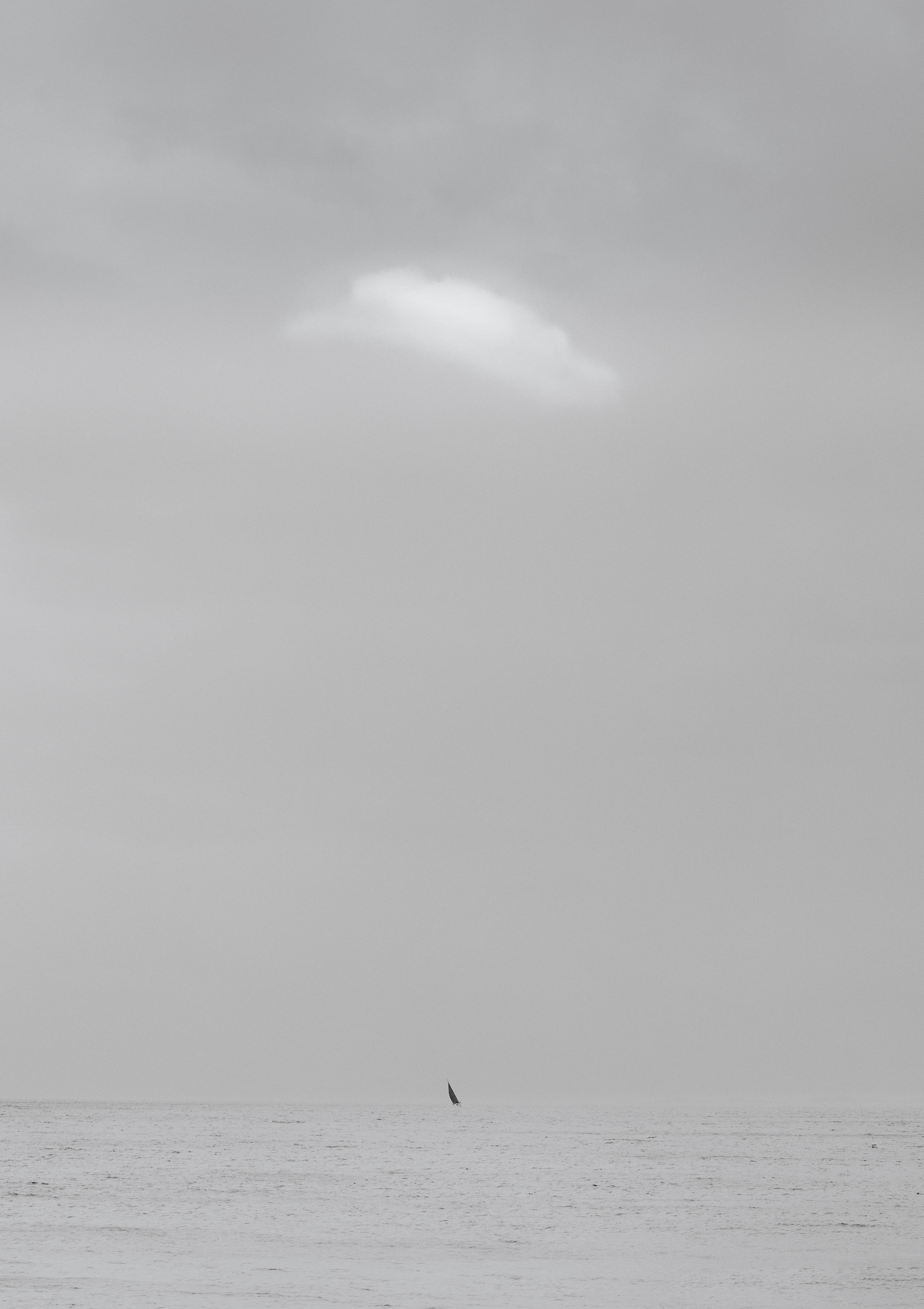 SW 008-6000px