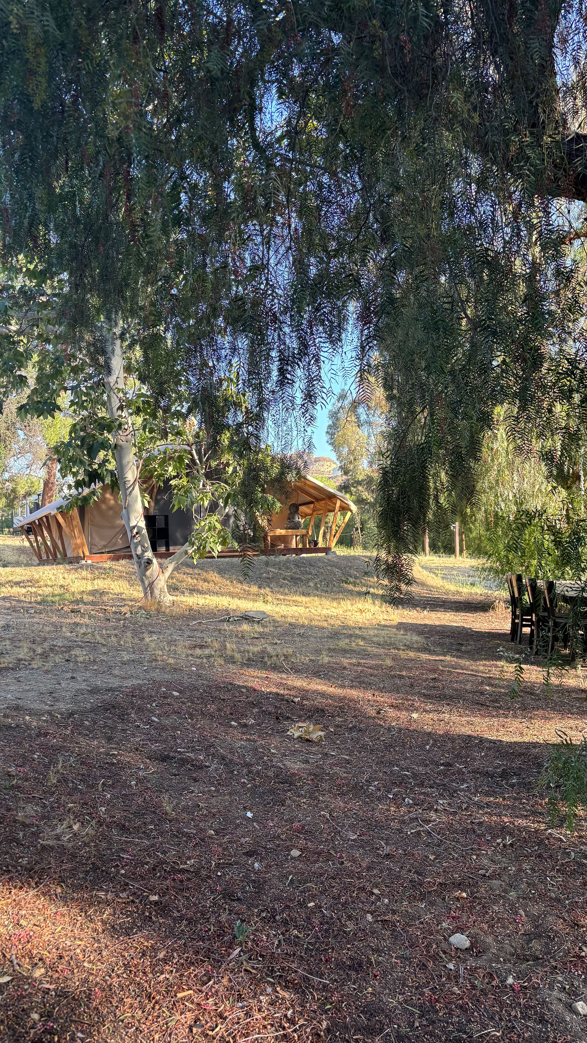 tent out in nature 
