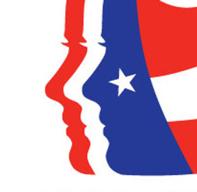 WDSC logo hair1.jpg