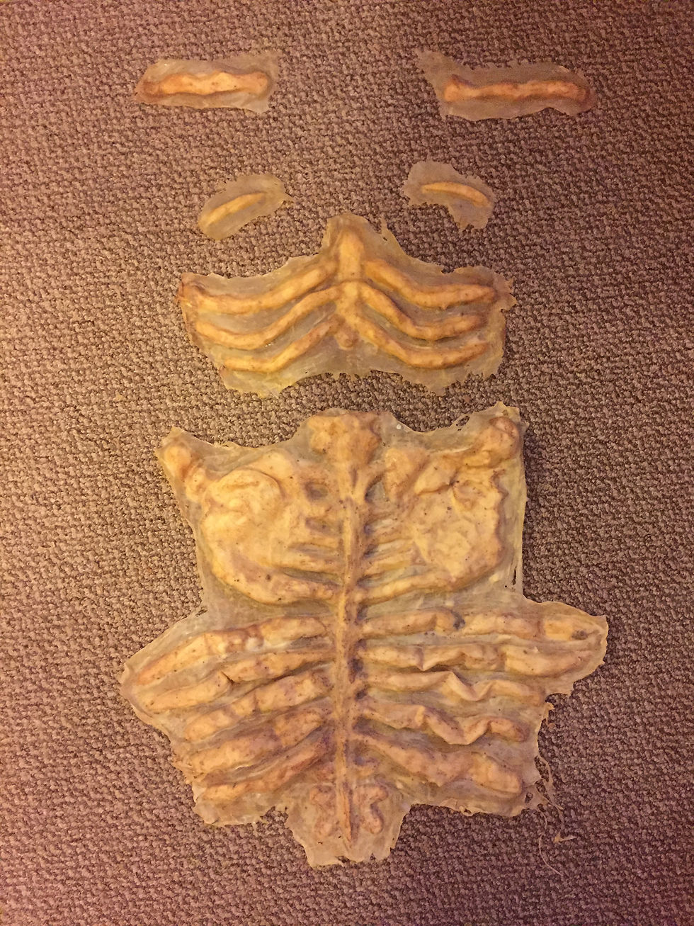 Latex Bones
