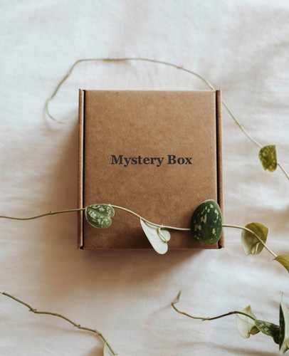 $333 Mystery Box | Dublin Rock +Our workers intuitively pick the items ...