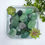 Thumbnail: Fluorite