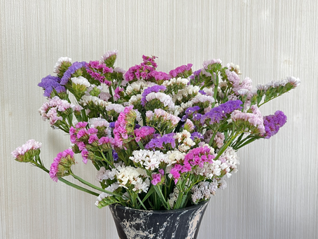 ややバテ気味ですが頑張っております。