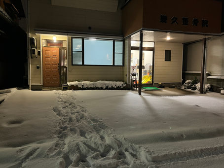 今朝の積雪は10㎝強ぐらいでしたよ〜