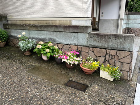 今週の土曜日はお休みさせていただきます