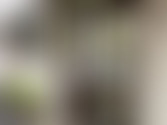 朝から雨風が強いですね〜