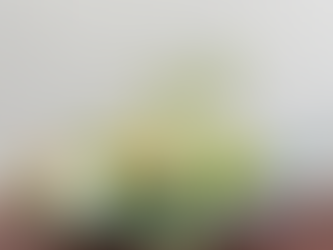 真夏日が続くようですね〜