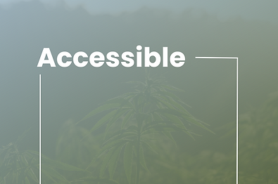 accessible.png