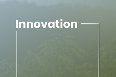 innovation (1).png