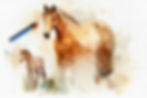 Hues and Horses Paint N Sip