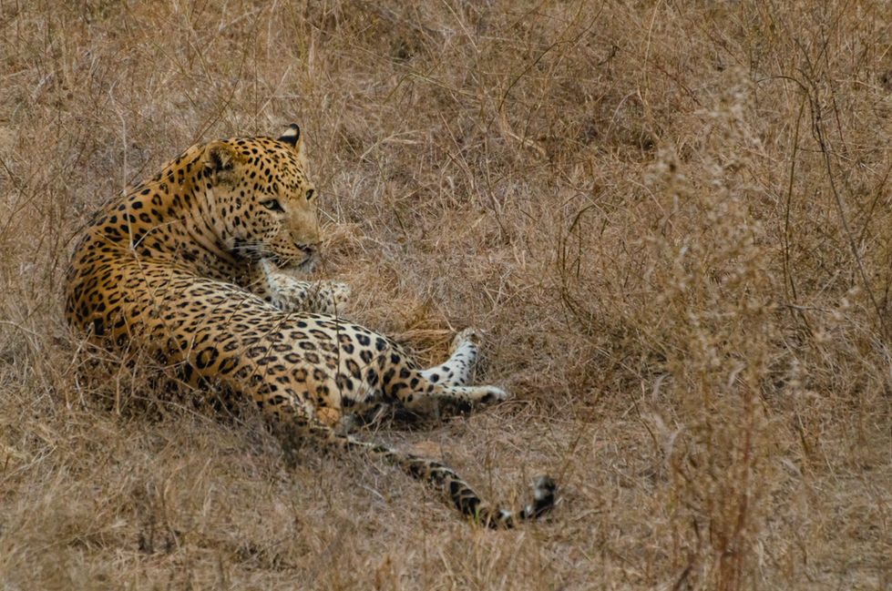 DSC_4626.jpg