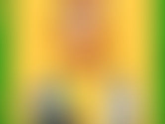 Little stories about Animals