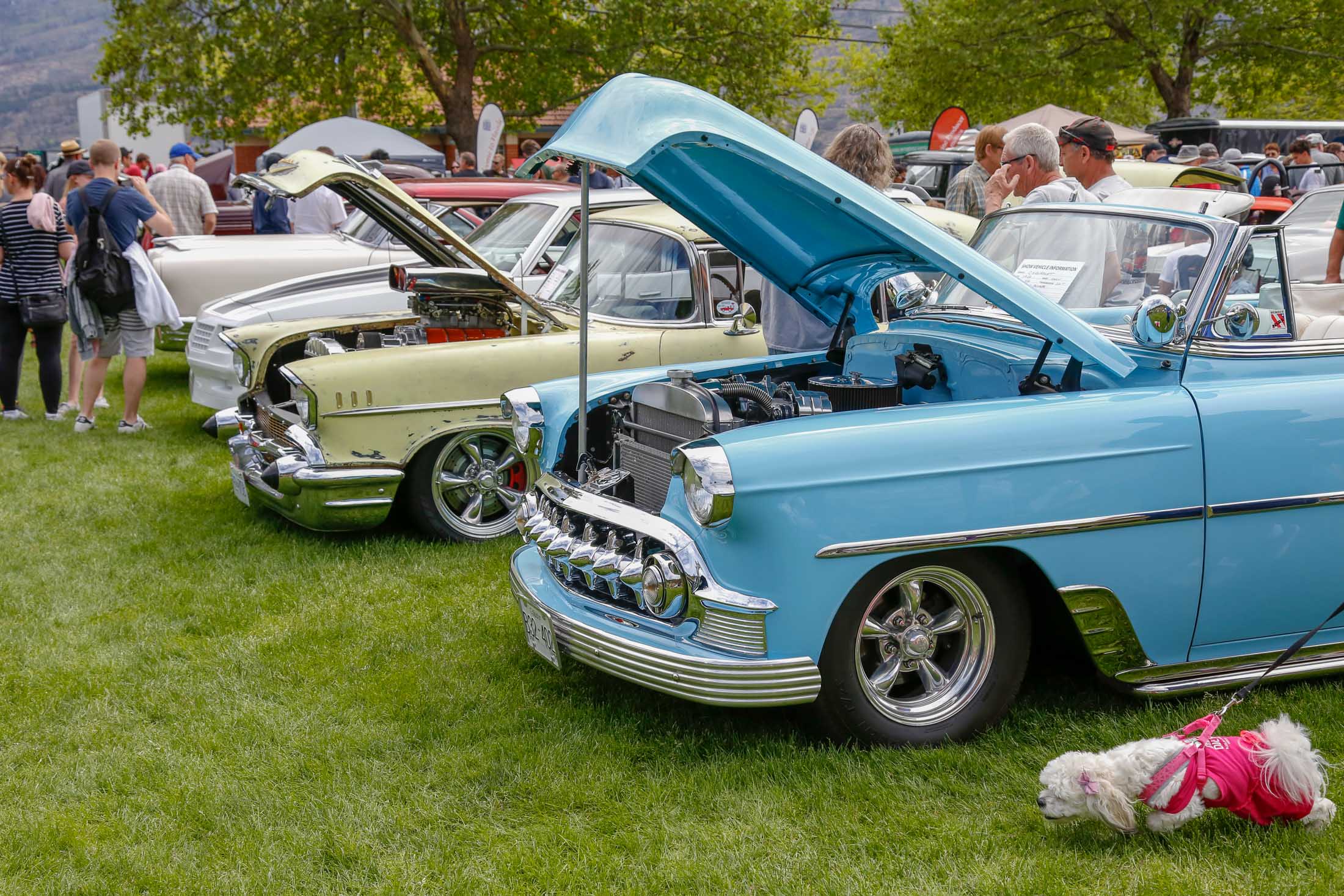 2019 Peachland World of Wheels