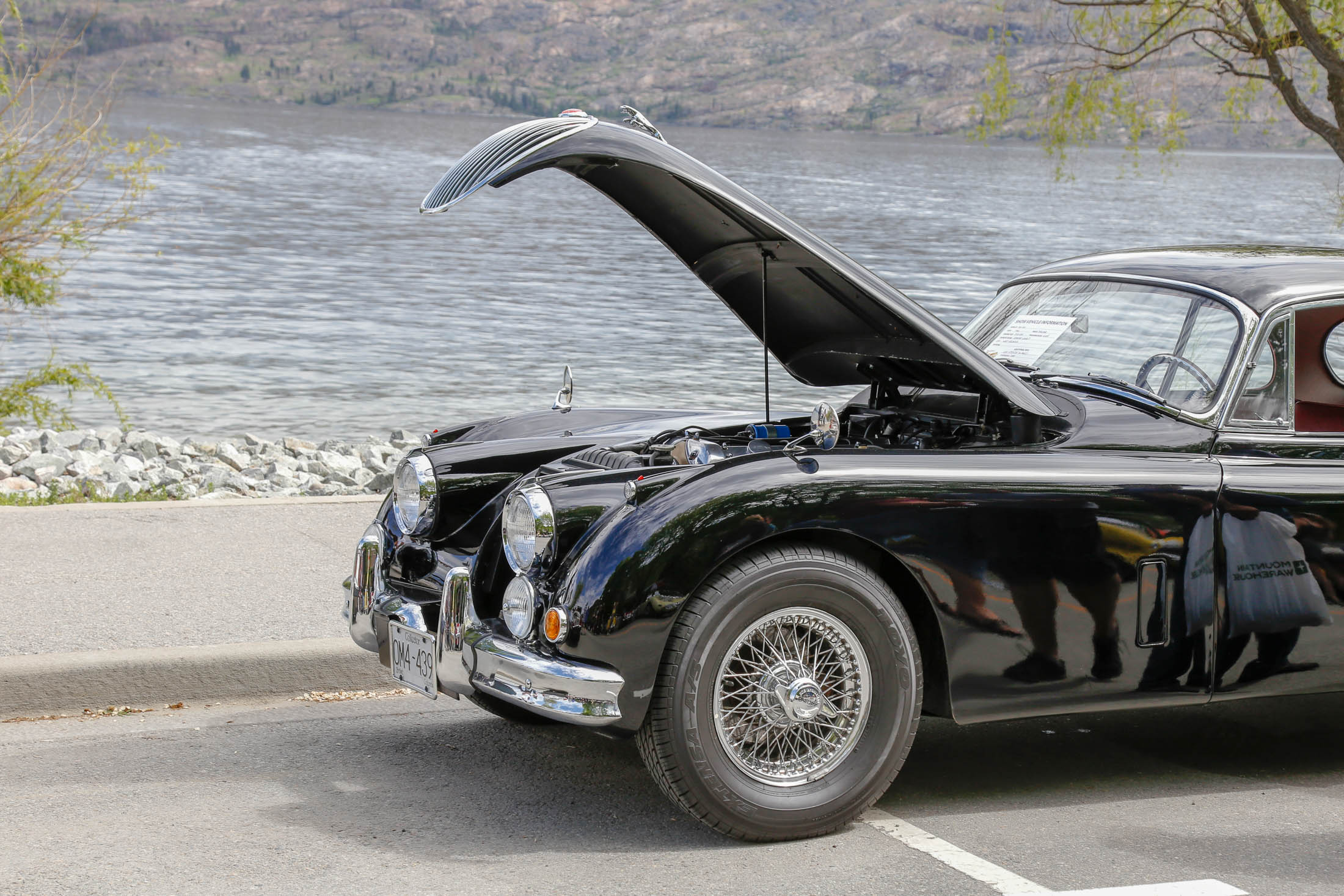 2019 Peachland World of Wheels
