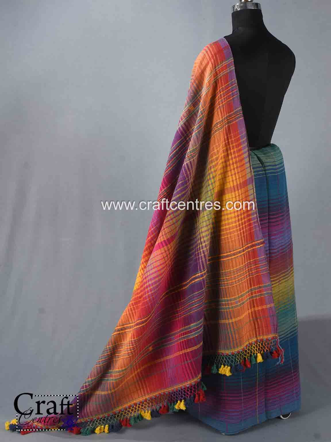 Rainbow kala cotton handwoven Bhujodi saree