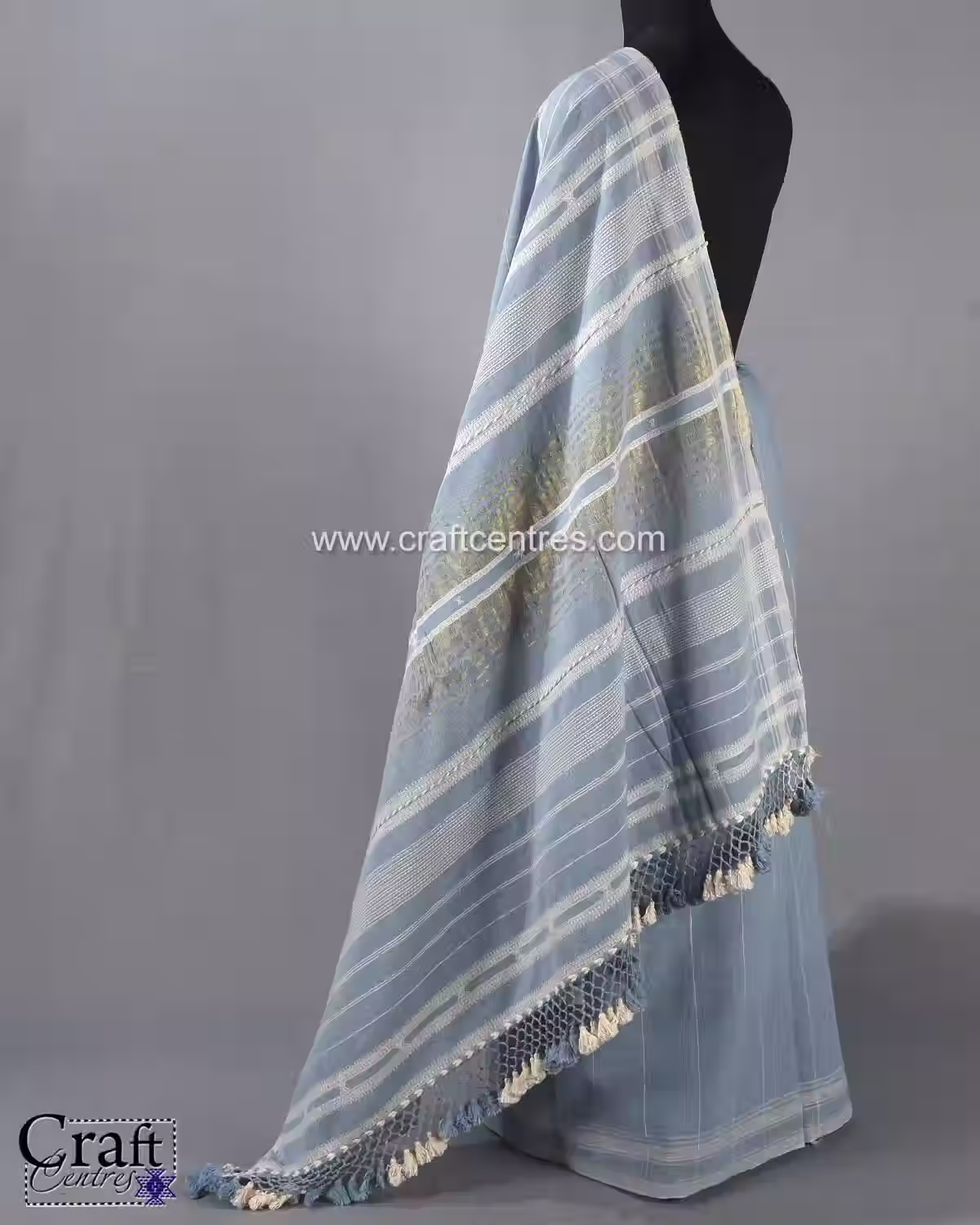 Thili Neeli Banna Chinnaada Zari Patta Bhujodi Saree