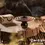 Thumbnail: Bronze Two Purpose Incense Holder