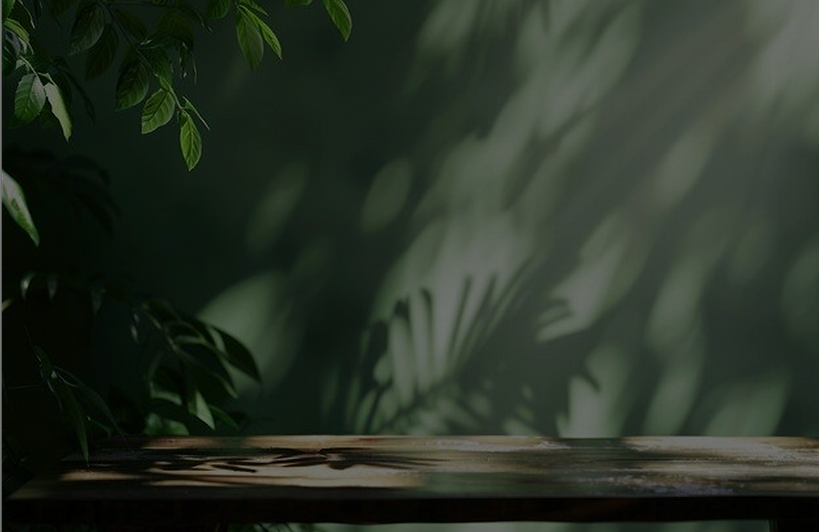 cafe less n more.png