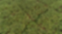 Screen Shot 2024-09-11 at 00.32.37.png