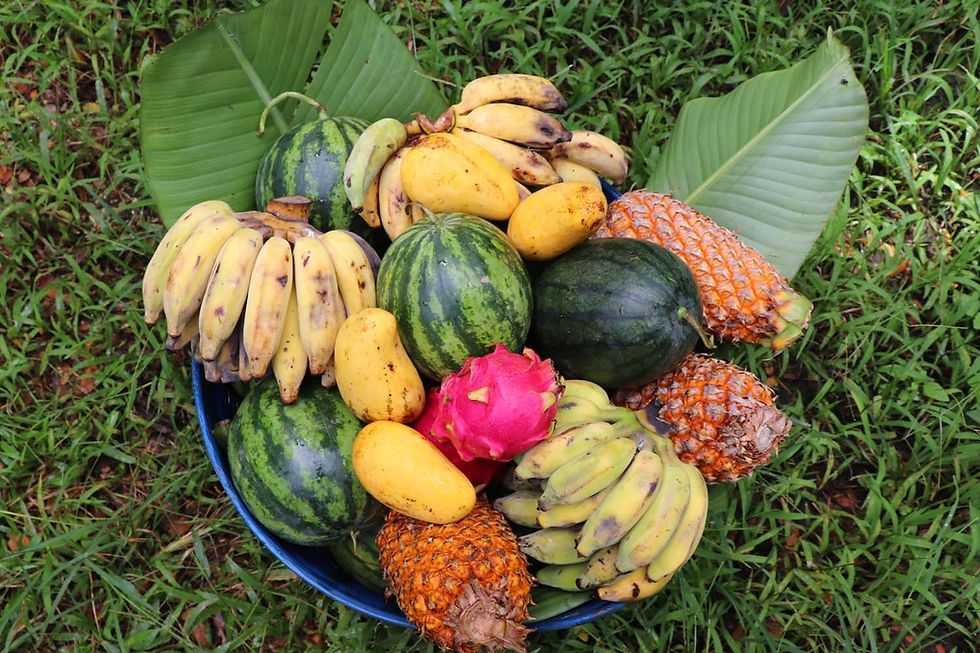 Thumbnail: Basket of Fruit & Vegetables