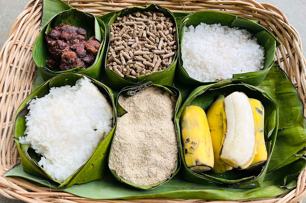 Banana Health Balls samuisanctuary