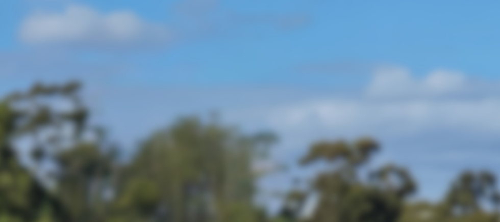 stock photo background image