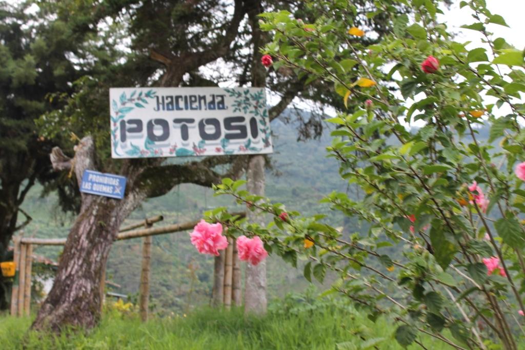 photo of the Potsoi farm, part of cafe granja la esperanza in colombia