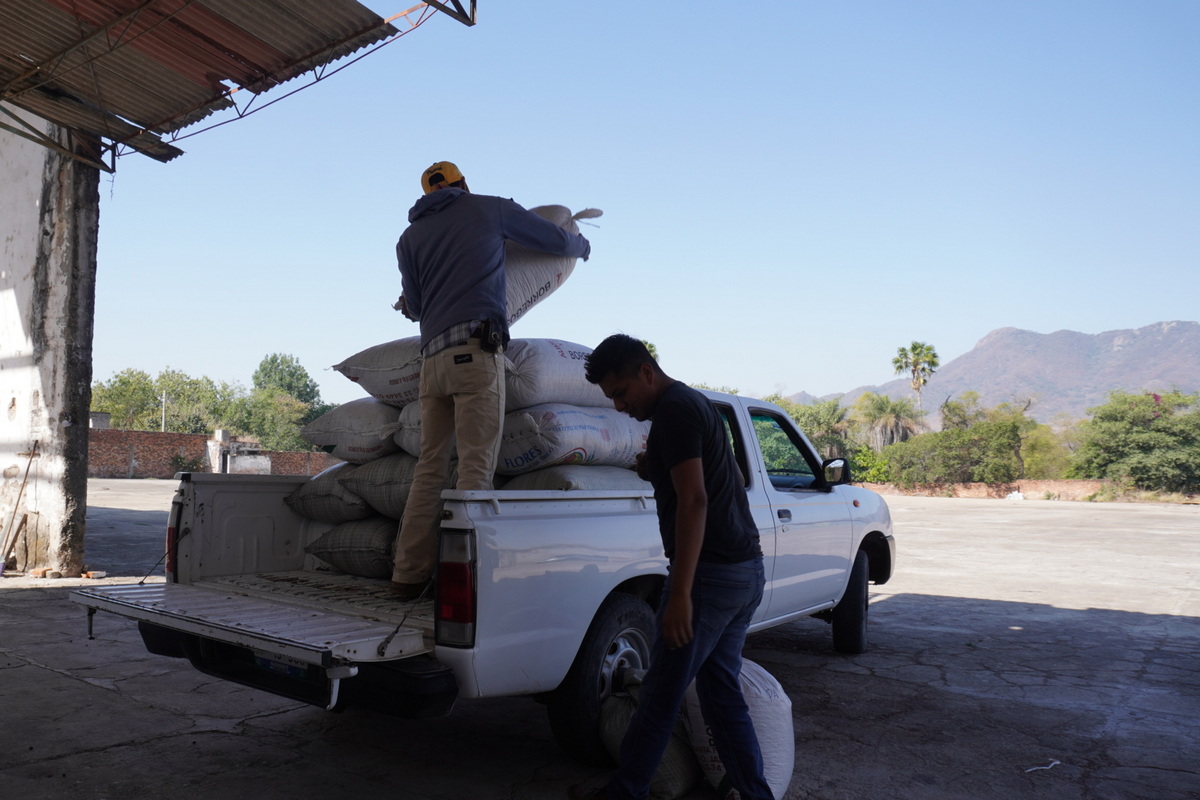 Workers loading sacks of coffee onto a truck
