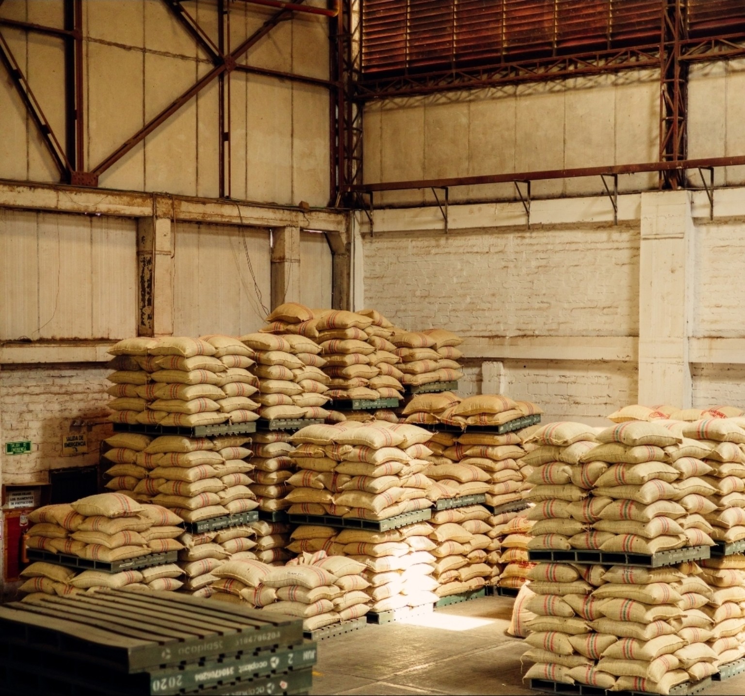 Sacks of green coffee stored on pallets inside a warehouse