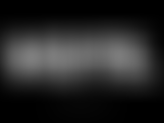 The Most Important Thing...