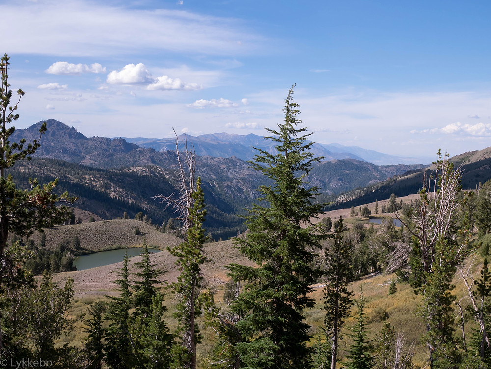 mountains, trees, sky, wilderness