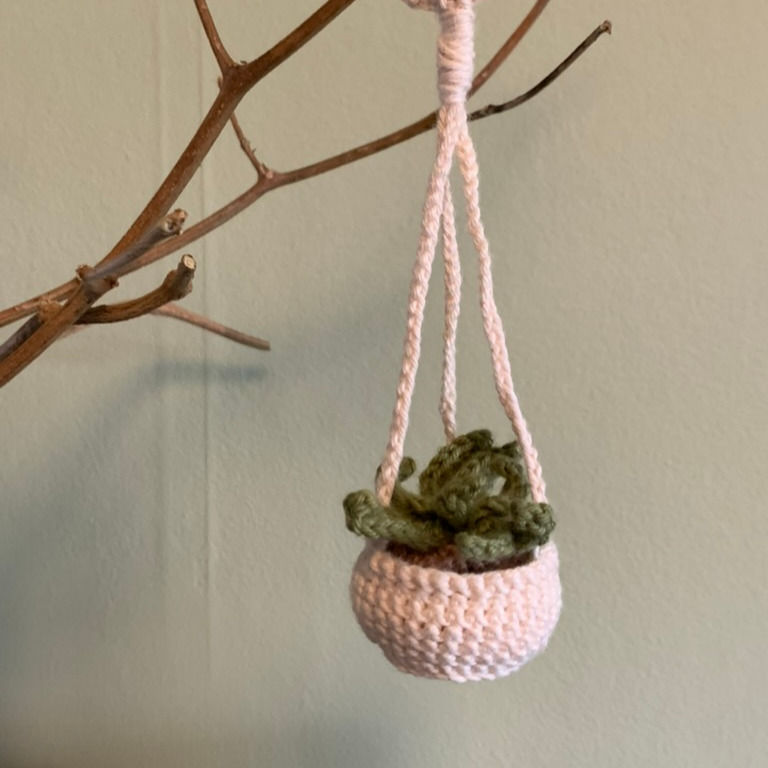 Thumbnail: Hanging plant