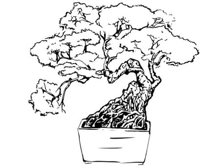 Japanese bonsai tree roots showing the meaning of nemawashi and slow decision making processes.