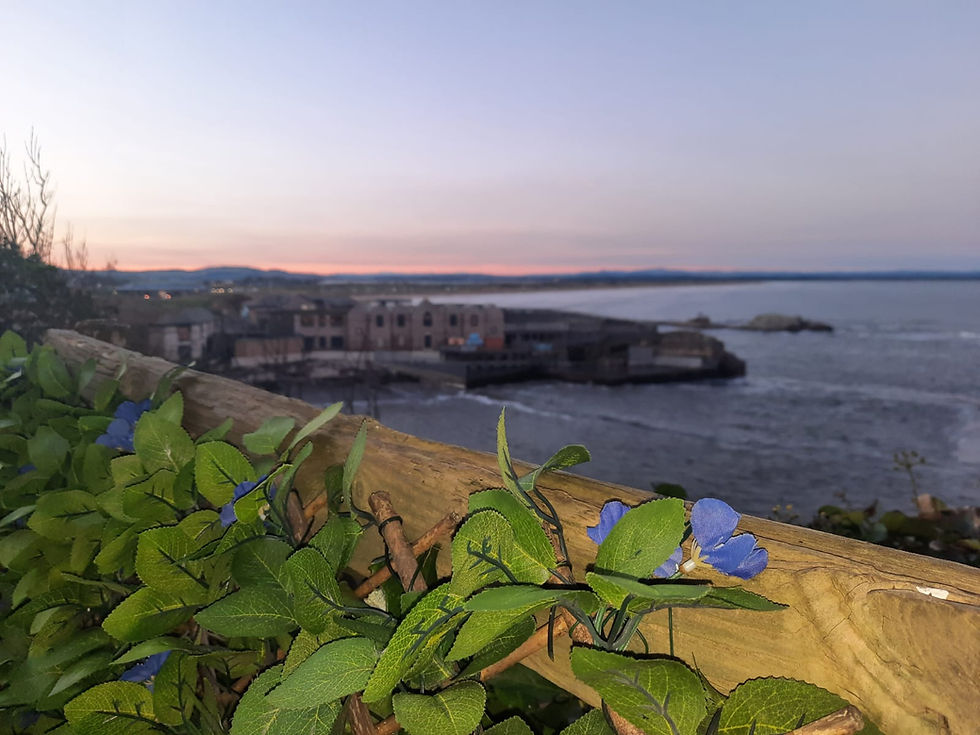 Five ways to find joy in a St Andrews January