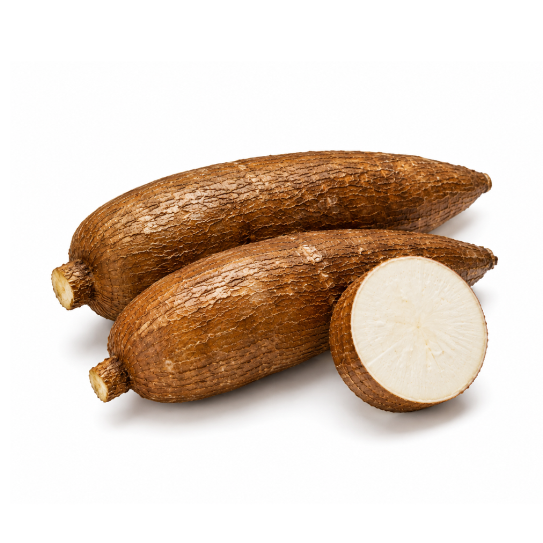 Fresh Manioc (Cassava)