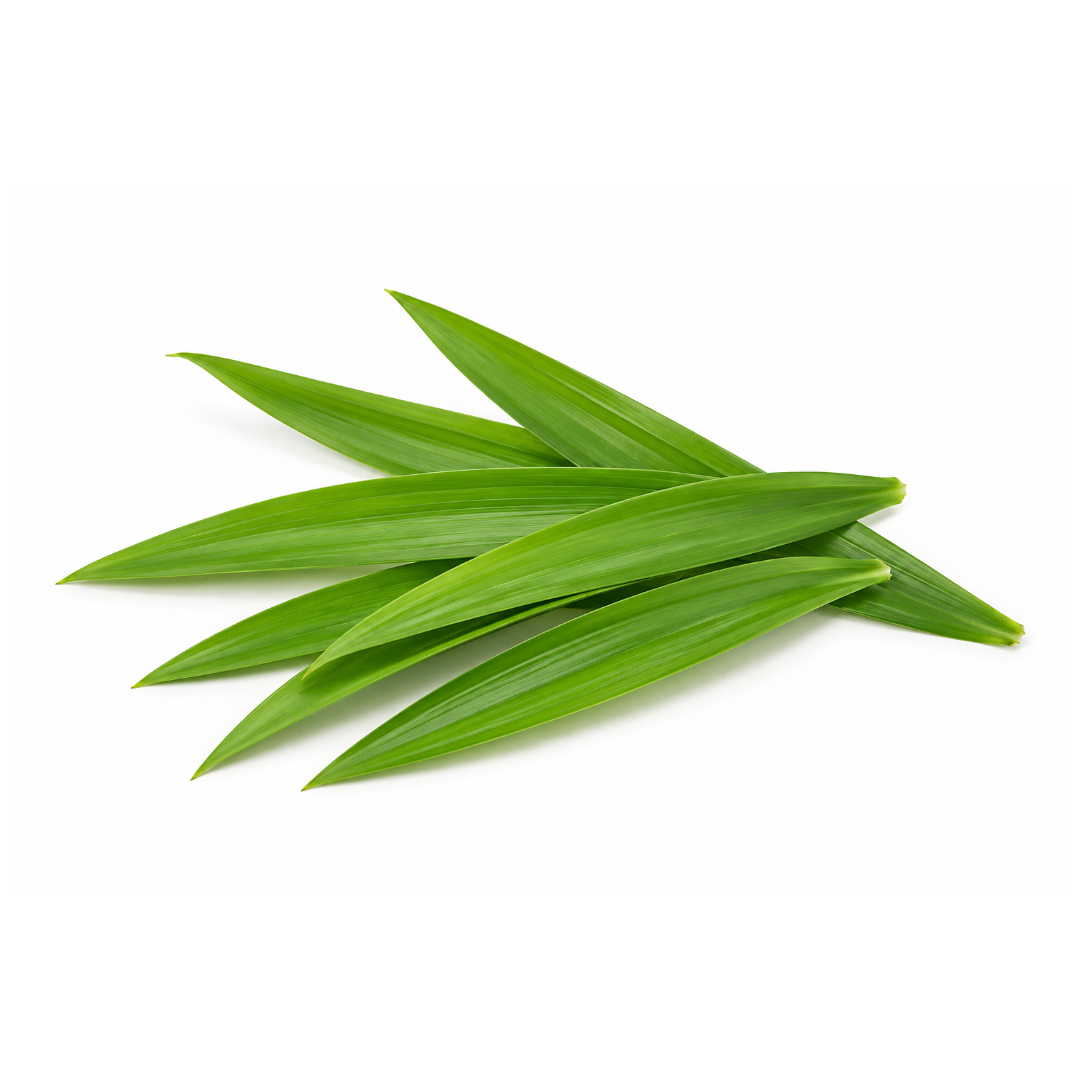 Fresh Pandan Leaves 
