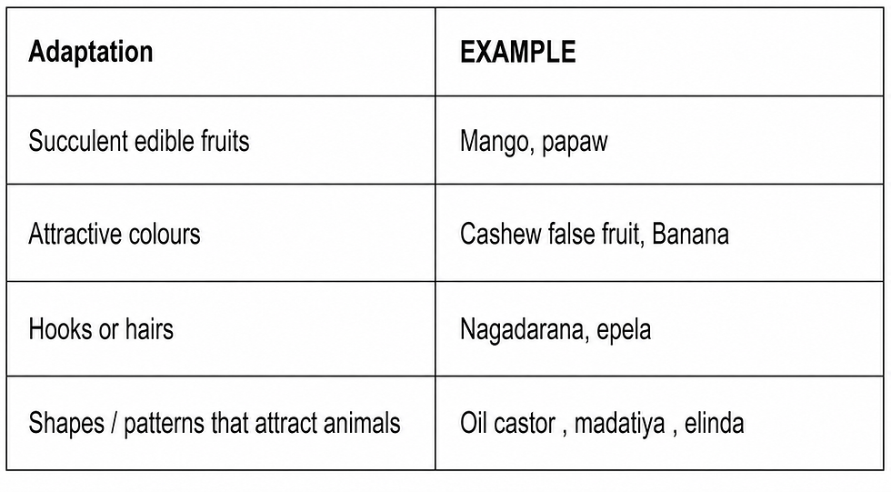 Methods of Dispersal of Fruits and Seeds