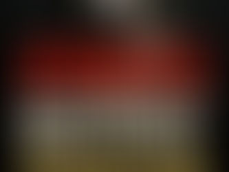 Deputada Kitty Lima promove audiência pública para debater ataques envolvendo cães da raça pitbull e guarda responsável