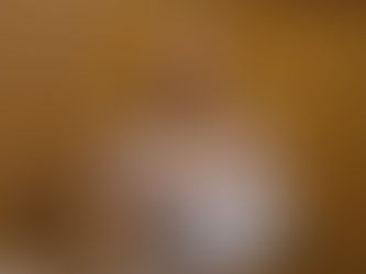 Kitty Lima transforma respeito aos animais em política pública com selo "Pet Friendly"