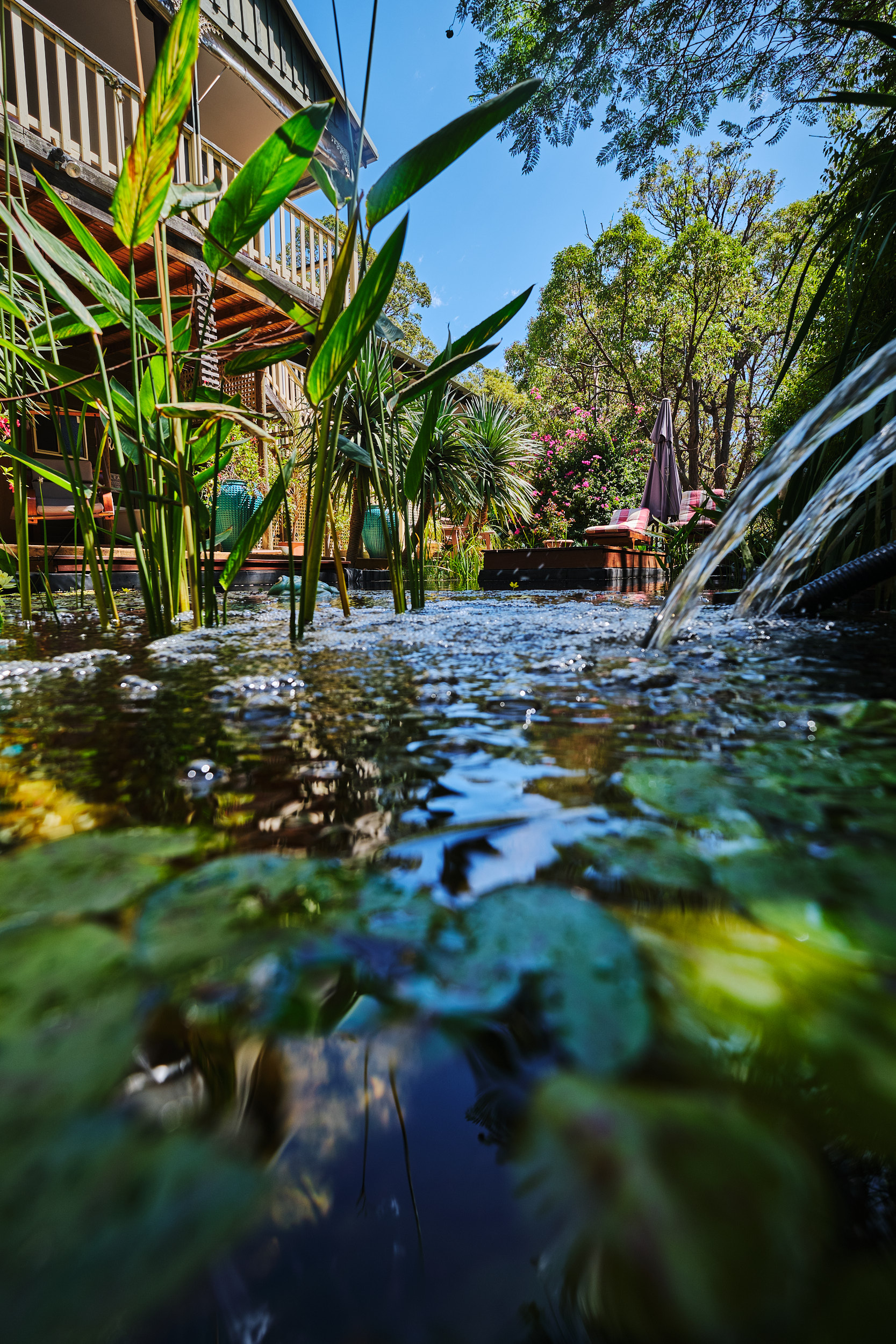 Natures Paradise in Mundaring, Australia