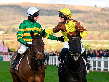 Winning The Gold Cup Is The Worst Think Inothewayurthinkin Will Ever Do